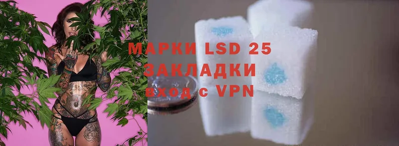 LSD-25 экстази ecstasy  дарк нет Telegram  Каргополь  купить наркоту 